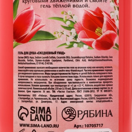 Shower gel Pure happiness “shining brighter”, 250 ml, aroma berry sorbet-5