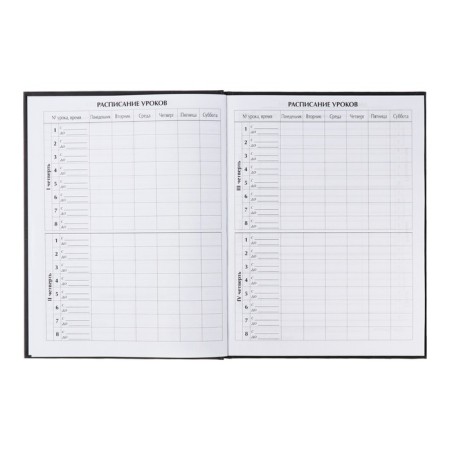 Universal diary for grades 1-11, Street Sport, solid cover 7BC, matte lamination, foil embossing, 40 sheets-6
