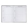 Universal diary for grades 1-11, Street Sport, solid cover 7BC, matte lamination, foil embossing, 40 sheets