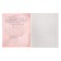 Subject subject calligrata "animal memes", 36 sheets in the algebra cage, with reference material, covered paper cover, block No. 2 (gray sheets)