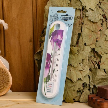 Plastic thermometer of the indoor "flower" in the blist (-10 +50), mix-4
