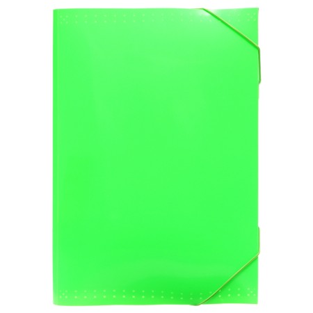 Folder Carder Calligrata Neon 6 department. A4 plastic 0.7mm light green. Cut in color-1
