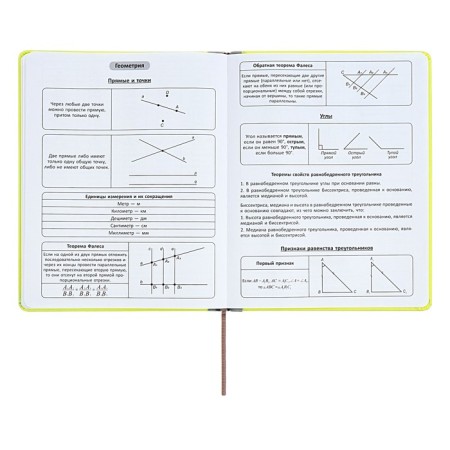 The universal diary for grades 1-11 is an excellent student, a solid cover made of artificial leather, silkography, lies, 48 ​​sheets, light green-8