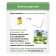Useful suitcase "Natural phenomena", plastic chips, cards