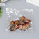 Decor for creativity "Acorus" set 10 pcs 2.7x2 cm