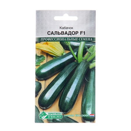 Salvador zucchini seeds F1, 3 pcs