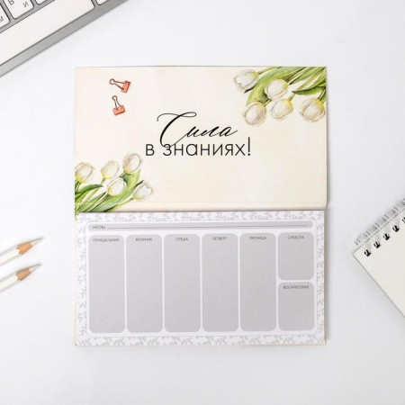 Gift set "Teacher": A5 diary, 80 sheets, planing with tear -off sheets, 50 sheets-9