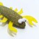 Cat toy "Cancer" from cat mint, 7.5 x 2 cm