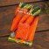 Set of seeds carrots "Hit Sales", dragees, 3 varieties