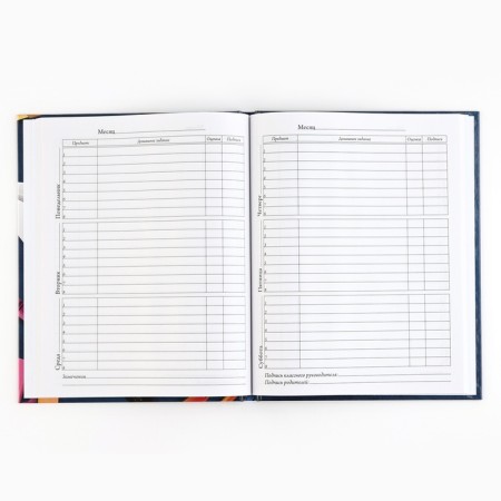 School diary 5-11 grade, in a solid cover, 48 liters. "School accessories"-3