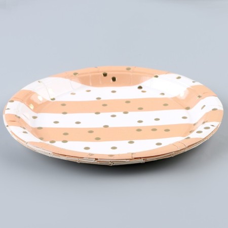Paper plate "Polit", in the set of 6 pcs.-1
