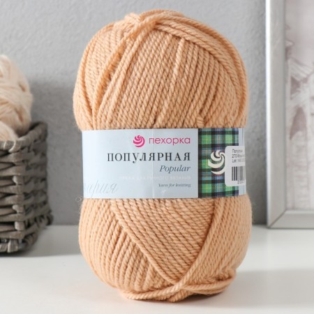 Yarn "Popular" 50% wool, 50% acrylic 133m/100g (270 wet sand)-3