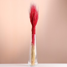 Set of dried flowers 