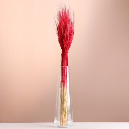 Set of dried flowers "rye", banch 35-40 pcs, length 55-65 (+/- 6 cm), red