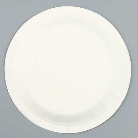 Paper plates "Happy Birthday" with flowers, 6 pcs.-1
