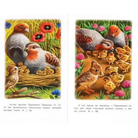Orange neck. Stories about nature. Bianchi V.V., Prishvin M.M., Sladkov P.P.-3
