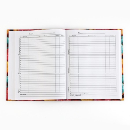 School diary 5-11 grade, in a solid cover, 48 liters. "Donuts"-3