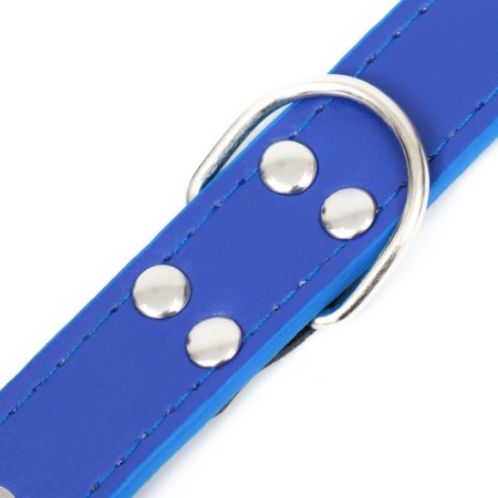 A collar made of artificial leather with a wool for engraving 52 x 2.5 cm, Osh 35-45 cm, blue-6