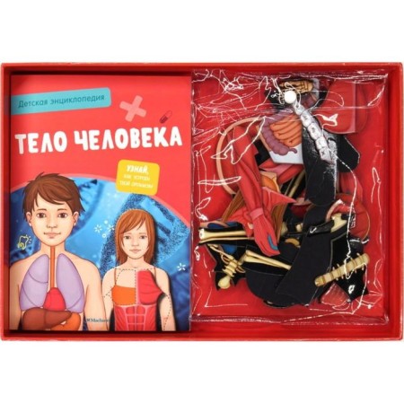 Interactive children's encyclopedia with magnets "Human Body" (in the box)-1
