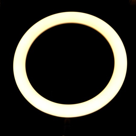 LED ring lamp Luazon CB-32, 10 "(26 cm), 10 W, 3 modes, works from USB-14
