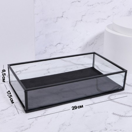 Square organizer for storage, 1 section, glass, 29 × 17.5 × 6.5 cm, the color is transparent/black-1