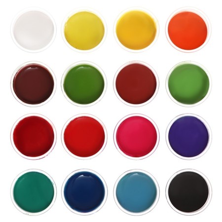Gouache 16 flowers Calligrata, 17 ml-2