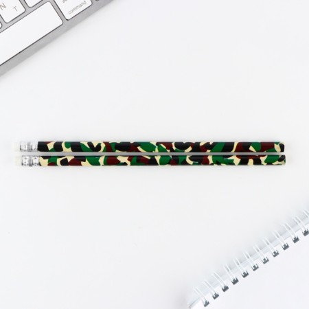 Set: notebook A6, pencils (2 pcs.) And wax crayons (4 pcs.) "Success and victories"-4