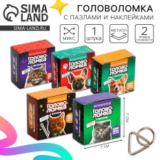 Metal puzzle with puzzles and stickers 
