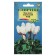 Flowers Cyclamen "Roy", Persian, 3 pcs.