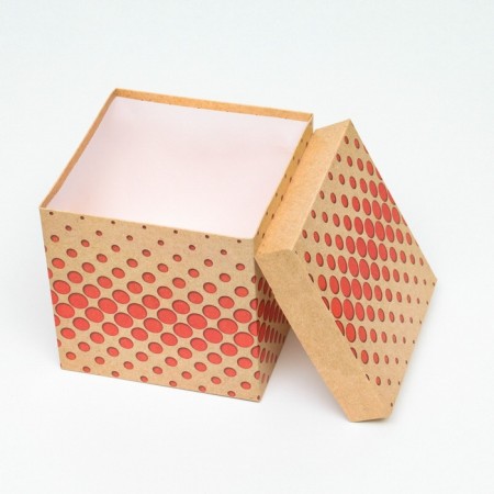 Self -charged box "Politions" Kraft 15x15x15 cm-3