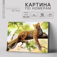 Picture on numbers on a canvas with a subframe 
