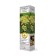 Fruit grapes "Blagovest" 1 pc, tube, spring 2025