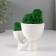 Kashpo concrete mini "Mr. Green with a baby" with moss white 5.5x8.5x6.5 cm (moss green stabil)