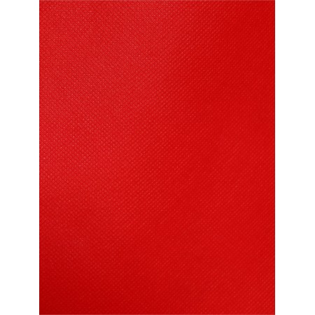 A package with a loop pen "Eco", 35 x 31 x 8 cm, red-1