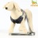 AMUNICE COMMUNICAL with soft harness, L, leash 120 x 1.5 cm, Osh 30-50 cm, OG 36-56 cm, gray 71191