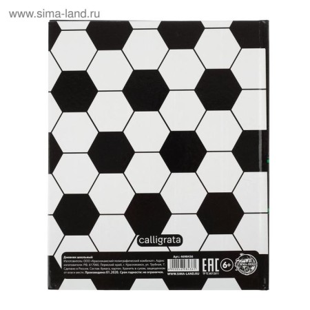 Universal diary for grades 1-11, "football. Emblem", solid cover 7BC, glossy lamination, 40 sheets-11