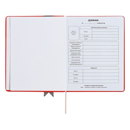 Universal diary for grades 1-11 Lenta, solid cover of artificial leather, applique, silkography, liesse, 48 sheets, red-3