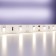 Maytoni LED tape, 12V, IP20, 2835, 4.8W/m, 4000k, 5 m, monochrome glow
