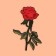 Thermal appliance "Rose", 23 × 15.5 cm, red color