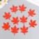 Foamir's blank "List of maple", 5x5cm, 10pcs, red set