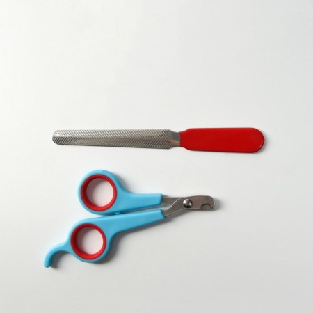 Carrying for claws: scissors-codlons (hole 6 mm) and a saw, blue-red-4