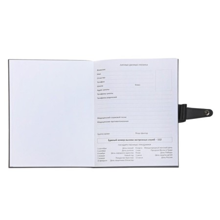 Universal diary for grades 1-11 Favorite, integrated artificial leather cover on the button, embossing foil, liesse, 48 sheets-11