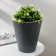 Kashpo for flowers with an insert "Valencia", 5.2 l, color anthracite