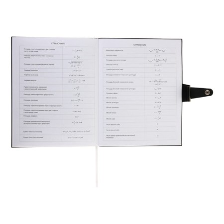 Universal diary for grade 1-11 Favourite. Black, soft cover, artificial leather, foil embossing, liesse, 80 g/m2-14