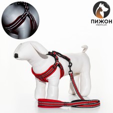 The ammunition set is soft, reflective, leash 120 x 2 cm, Osh 25-72 cm, red