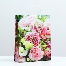 Package 