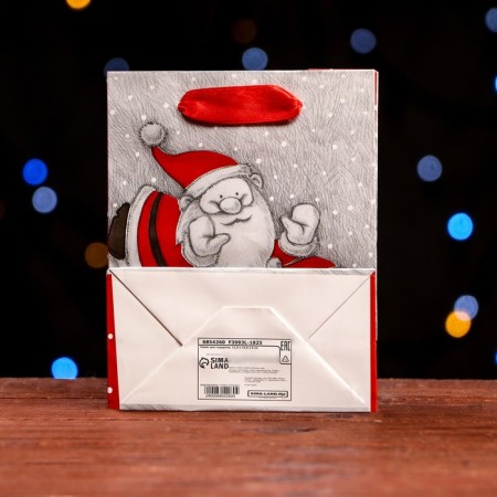 Laminated “Frost and Snowman” package 11.5 x 14.5 x 6 cm-1