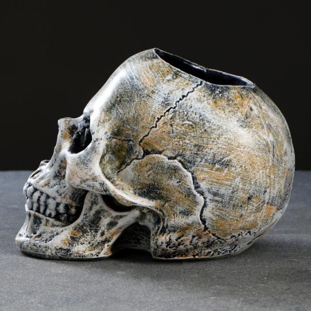 Skull stand "Skull" 16x15x22cm (Yershik n/steel)-9