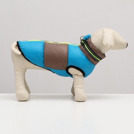 Lightning dog jacket, size 12 (ds 28 cm, OG 38 cm, Osh 27 cm), gray-blue-1
