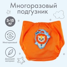 Reusable diaper 